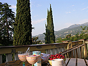 Adriatic Apartment